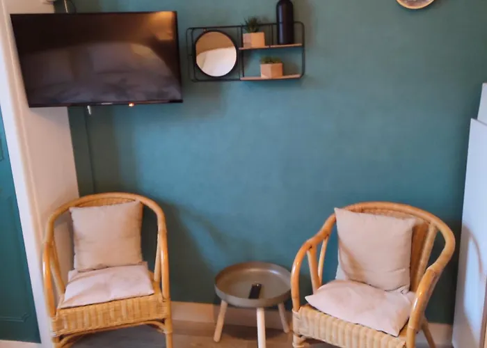 Apartment 8, Parking Et Wifi Gratuit, Local Velo