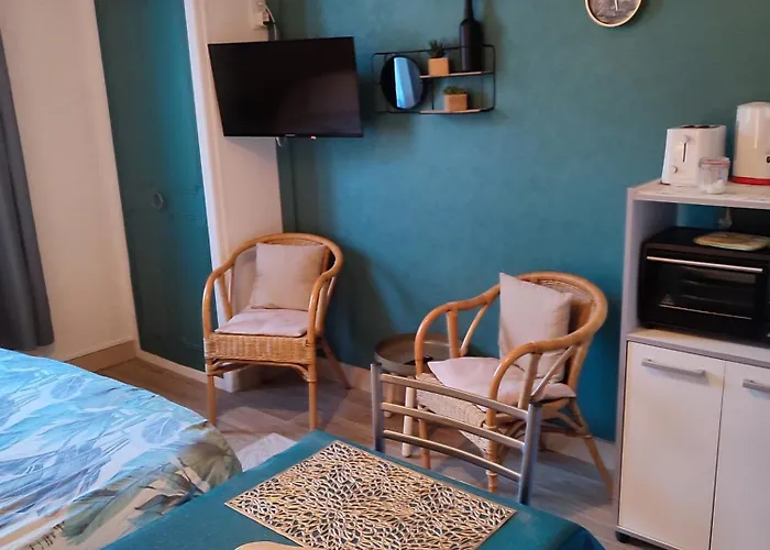 Apartment 8, Parking Et Wifi Gratuit, Local Velo *